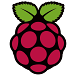 Logo de RaspberryPi